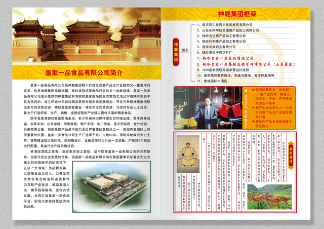 畫(huà)冊設計